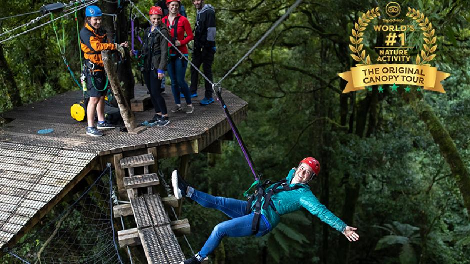 Voted TripAdvisor’s #1 Nature Activity in the world! 
Soar through ancient forest on a network of ziplines, swingbridges and treetop platforms in this unforgettable adventure, perfect for all ages. 
